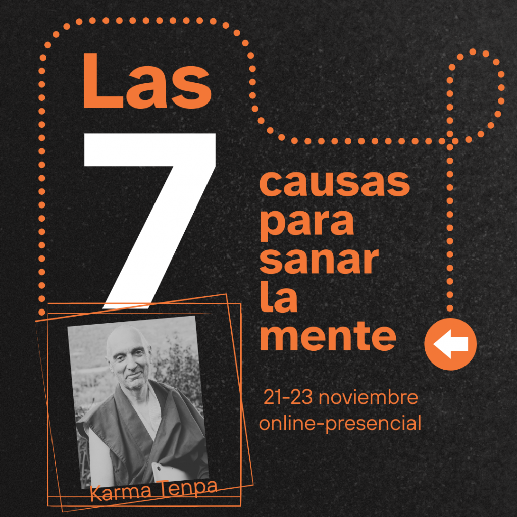 21 23 noviembre cursos